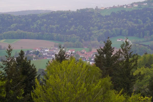 Bouřka Bavorském Lese Tmavými Mraky Jasnými Blesky — Stock fotografie