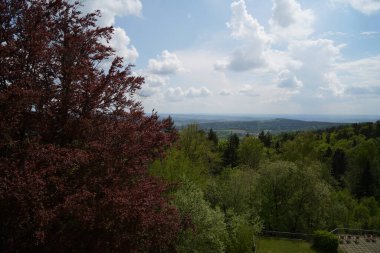 Bavyera Ormanı 'nda parlak yıldırımlı kara bulutlar ve gök gürültüsü