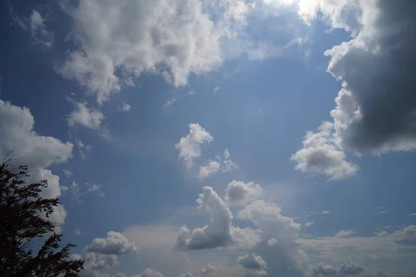 Темні Хмари Гроза Баварському Лісі Яскравою Блискавкою — стокове фото