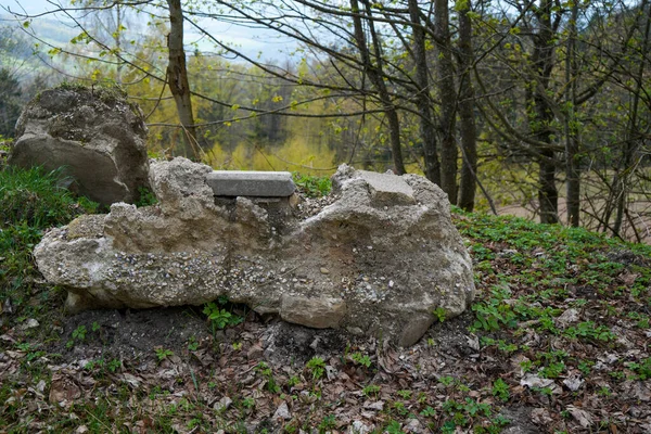 Německá Příroda Jaře Vyfocena Bavorském Lese — Stock fotografie