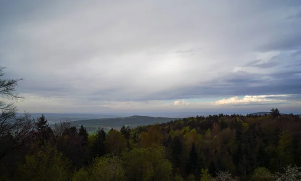 Niemiecka Przyroda Wiosną Sfotografowany Lesie Bawarskim — Zdjęcie stockowe