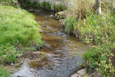 Eski bir Bavyera ahşap çiftlik evinin detayları.