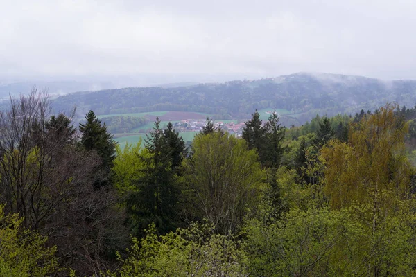 Landschaftsfotos Von Deutschem Wald Naturpark Bayern Fotografiert — ストック写真