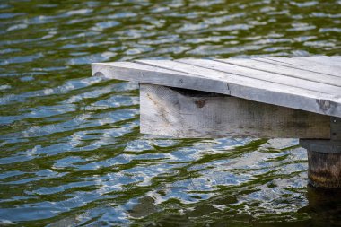 Garden pond with aquatic plants and water and lots of vegetation in green nature