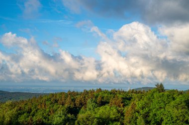 Bavyera Ormanı 'ndaki manzara resimleri bulutlar ve mavi gökyüzü büyüleyici. 