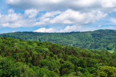 Bavyera Ormanı 'ndaki manzara resimleri bulutlar ve mavi gökyüzü büyüleyici. 