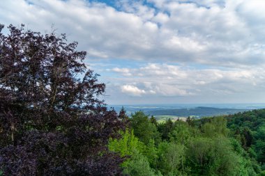 Bavyera Ormanı 'ndaki manzara resimleri bulutlar ve mavi gökyüzü büyüleyici. 