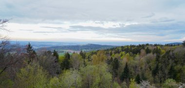 Bavyera Ormanı 'ndaki manzara resimleri bulutlar ve mavi gökyüzü büyüleyici. 