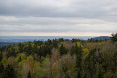 Bavyera Ormanı 'ndaki manzara resimleri bulutlar ve mavi gökyüzü büyüleyici. 