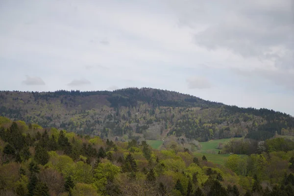 Landschapsfoto Het Beierse Woud Met Fascinerende Wolken Blauwe Lucht — Stockfoto