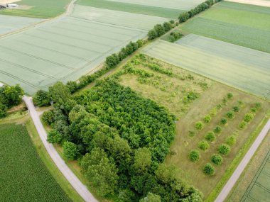 Baharda Bavyera 'da ekilen tahıllı bir tarım arazisinin havadan görünüşü