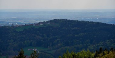 Baharda Bavyera 'da ekilen tahıllı bir tarım arazisinin havadan görünüşü