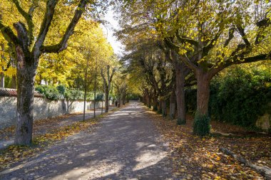 Park, Almanya 'da açık olan herkes için iyi korunuyor.            