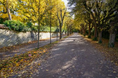 Park, Almanya 'da açık olan herkes için iyi korunuyor.            