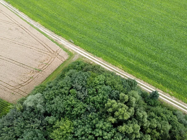 Luftaufnahme Eines Landwirtschaftlichen Feldes Mit Frühjahr Gepflanztem Getreide Bayern — Stockfoto