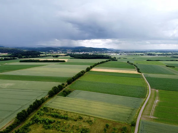 Aerial View Agricultural Field Grain Planted Spring Bavaria — Stock Photo, Image