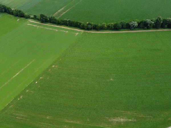 Bajorországban Tavasszal Ültetett Gabonával Borított Mezőgazdasági Terület Légi Rálátása — Stock Fotó
