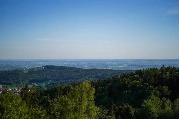 Вид Згори Сільськогосподарське Поле Зерном Посадженим Навесні Баварії — стокове фото