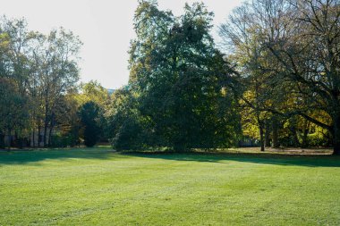 Park, Almanya 'da açık olan herkes için iyi korunuyor.            