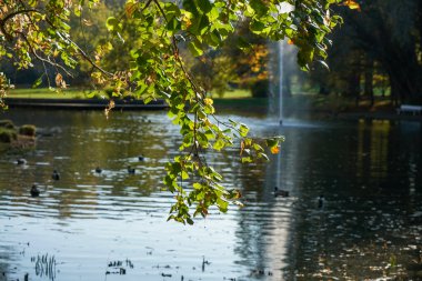 Park well maintained for recreation for all open in Germany            