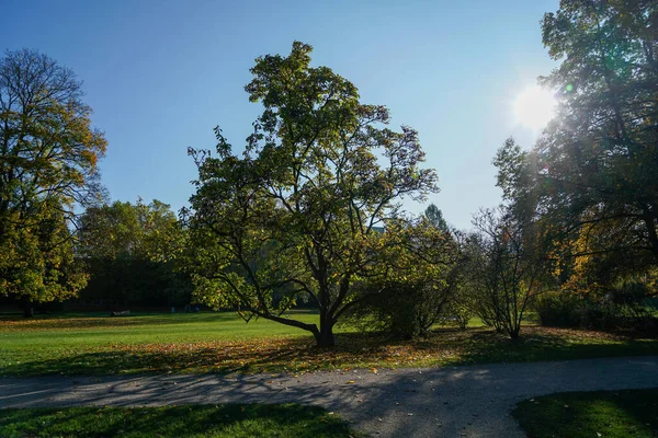 Park Well Maintained Recreation All Open Germany — Fotografia de Stock