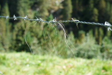 Gün ışığında el yapımı çitler açık havada çekilmiş.