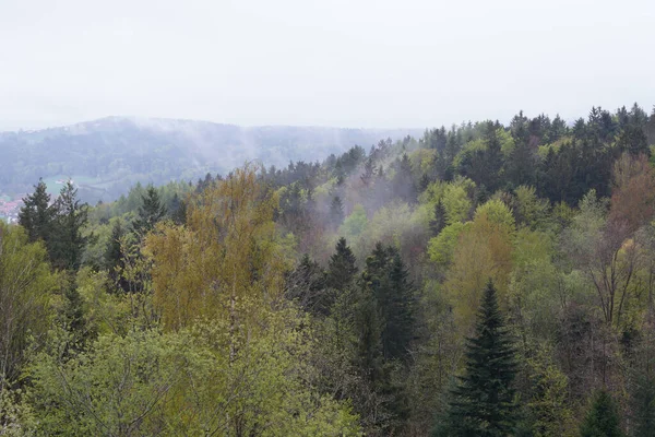 Φθινοπωρινό Δάσος Στα Βουνά — Φωτογραφία Αρχείου