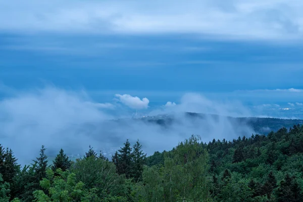 Hermosa Vista Del Bosque Montaña — Foto de Stock