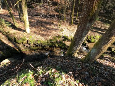 Doğanın güzel manzarası