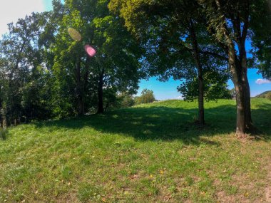 Parkın güzel manzarası