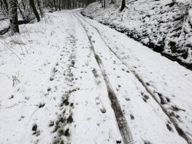 Ormanda karla kaplı yol