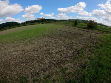yeşil tarla ve mavi gökyüzü