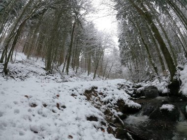 Karla kaplı ağaçlarla kaplı güzel kış manzarası