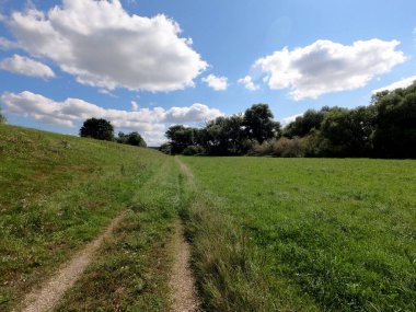 Yeşil çimen ve mavi gökyüzü olan güzel bir manzara.