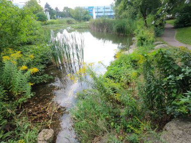 Parktaki nehrin güzel manzarası