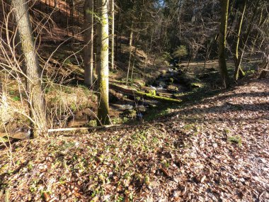  metal dokulu arka plan