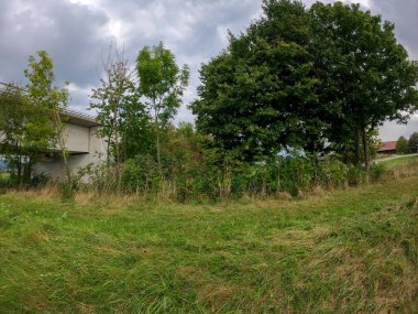 Parkın güzel manzarası