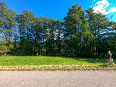 Parkın güzel manzarası