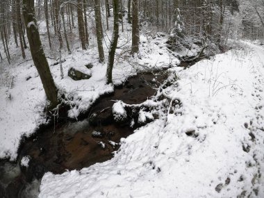 Karla kaplı ağaçlarla kaplı güzel kış manzarası