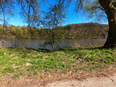 Rusya, güneşli bir günde ormandaki nehir.