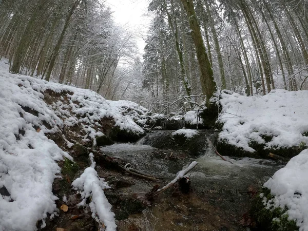 Une Rivière Dans Parc Nord État Israël — Photo