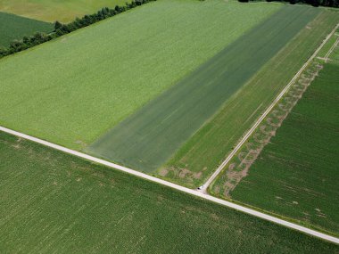 İsrail 'in kuzeyindeki Akdeniz Vadisi' nin hava manzarası.