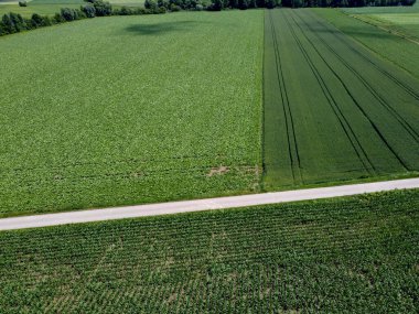 Yazın kırsal alanın havadan görünüşü