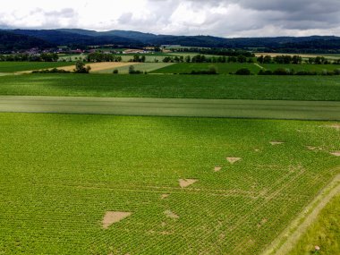 Yazın kırsal alanın havadan görünüşü