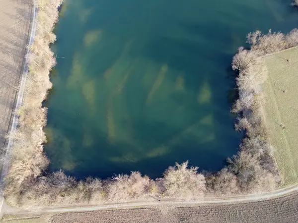 Widok Powietrza Rzekę Lesie — Zdjęcie stockowe