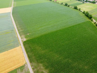 Yeşil tarlalar ve çimenler. Drone görünümü