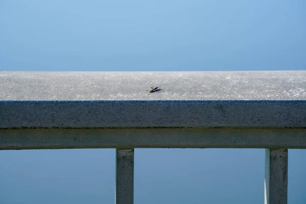 Uno Sparo Verticale Una Panchina Legno Uno Sfondo Cielo Azzurro — Foto Stock