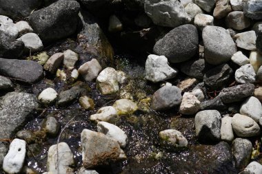 Sahilde güzel deniz taşları