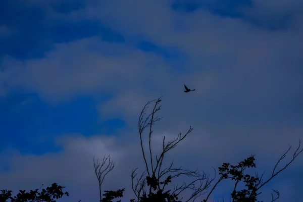 Prachtig Uitzicht Lucht — Stockfoto