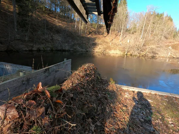 Ormandaki eski ahşap köprü